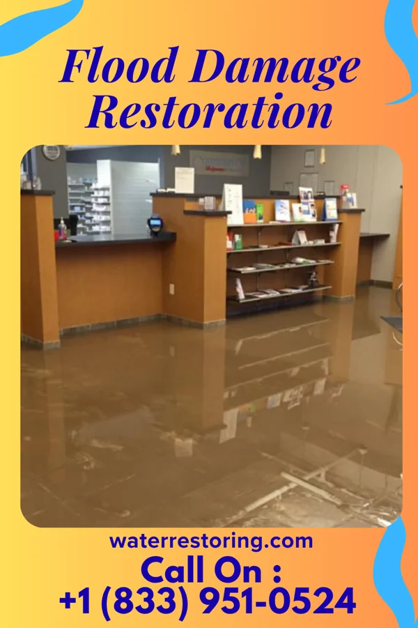 Flood Damage Restoration in Anzac Village, NM