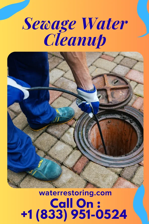 Sewage Water Cleanup in Anzac Village, NM