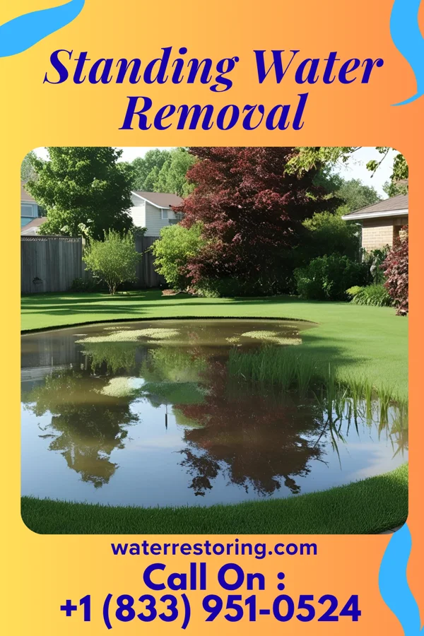 Standing Water Removal in Anzac Village, NM